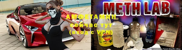 ПСИЛОЦИБИНОВЫЕ ГРИБЫ Козловка