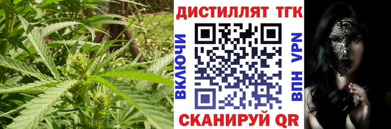 Дистиллят ТГК гашишное масло  mega маркетплейс  Ядрин 