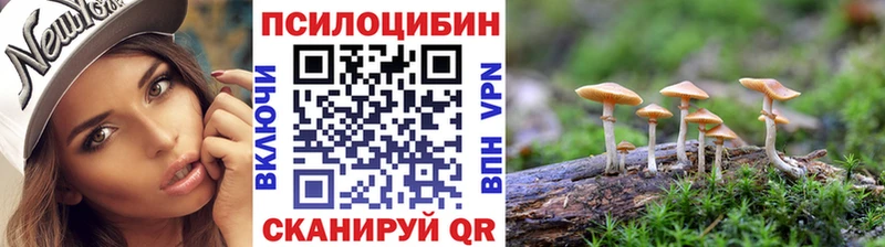 Галлюциногенные грибы Psilocybine cubensis  KRAKEN как зайти  Ядрин 